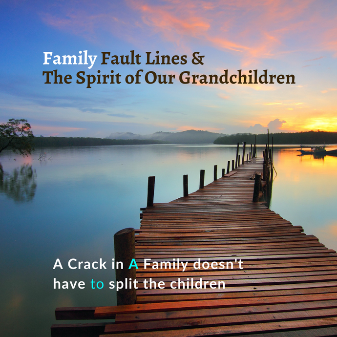 Family Estrangement, the Mirroring Patterns Between Fathers and Sons, and My Role as the Grandmother Holding a Wider Energetic View